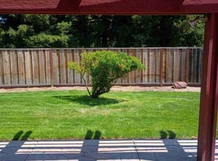 Bush Trimming by Mario Almanza for Amrit B. in Pleasanton, CA