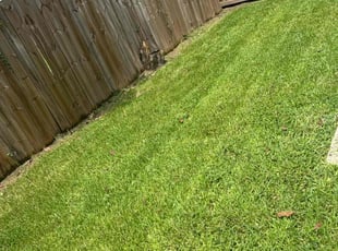 Boz M.'s Lawn Mowing service result