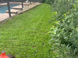 Donald R.'s Lawn Mowing service result