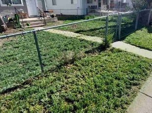 Cleanups by Trent Young for Cody W. in Frederick, CO