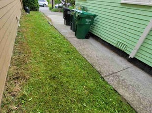 Edwin A.'s Lawn Maintenance service result