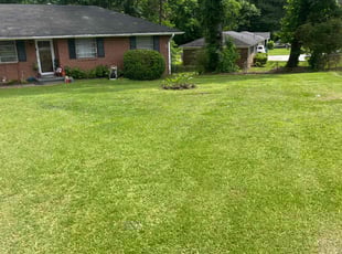 Dan B.'s Lawn Maintenance service result