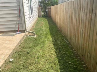 Nick M.'s Yard Cutting service result
