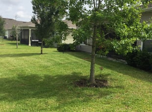 Tracie L.'s Lawn Service service result
