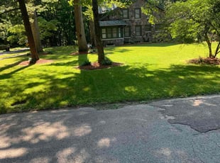Noel P.'s Lawn Care service result