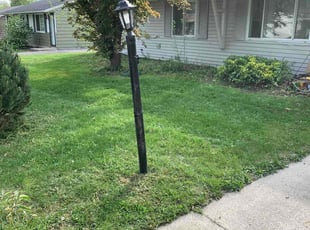 Bush Trimming by Nick Richardson for Mary C. in Fort Wayne, IN