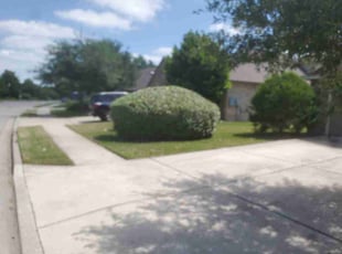 Bush Trimming by Steve Perry for Jennifer S. in Pflugerville, TX