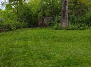 Agboola O.'s Lawn Care service result
