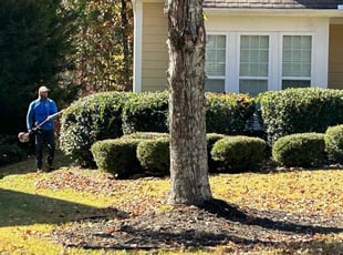 Bush Trimming by Latonya Talley for Wyman M. in Douglasville, GA