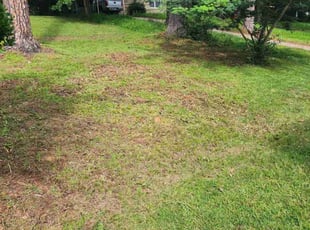 Cleanups by Gleibus Baker for Donovan D. in Columbus, GA