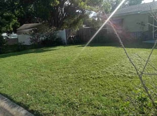 Prasanth R.'s Lawn Service service result
