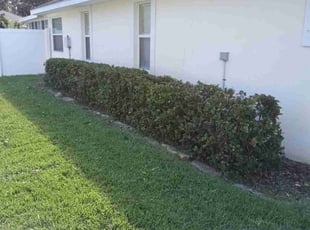 Cleanups by Christopher Lippens for Valencia S. in Palm Coast, FL