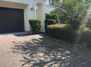 Bush Trimming by Jeff Templeton for Jeanette A. in Houston, TX
