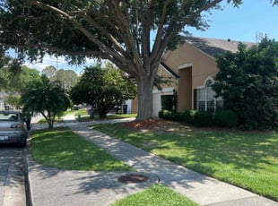 Paul M.'s Yard Cutting service result