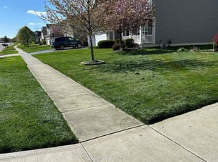 Sam V.'s Lawn Service service result