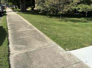 Shalom A.'s Yard Cutting service result