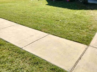 Cheryl A.'s Lawn Service service result