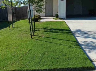 Manuel S.'s Lawn Care service result