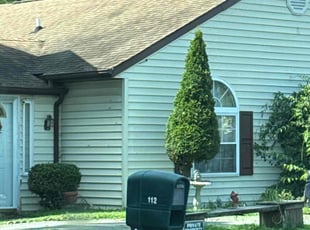 Spencer L.'s Bush Trimming service result