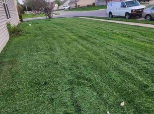 NANCY A.'s Lawn Mowing service result