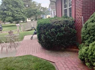 Leaf Removal by Kristie Mitchell for Jackie S. in Poquoson, VA