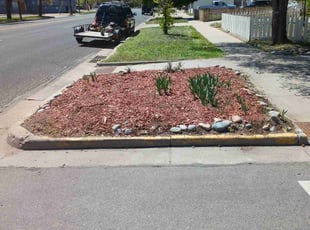 Weeding by Bradley Swenson for Angela L. in Greeley, CO