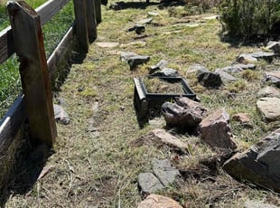 Cleanups by Devin Brown for Carmine G. in Castle Rock, CO