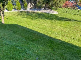 Zoryana H.'s Lawn Mowing Service service result