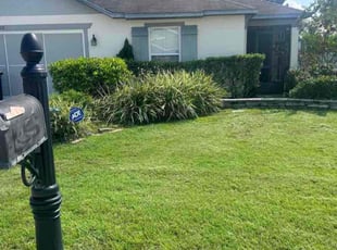 Leitha W.'s Lawn Service service result