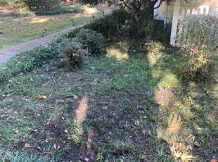Bush Trimming by Jeff Miller for Kristen M. in Chesterfield, VA