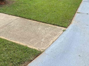 Busola O.'s Lawn Mowing service result