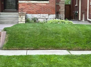 Nathaniel S.'s Lawn Service service result