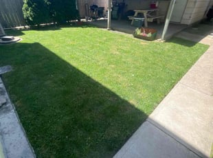 Edgardo M.'s Lawn Mowing service result