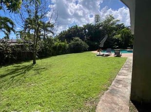 Sam N.'s Lawn Maintenance service result
