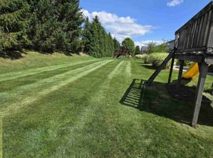 Linda H.'s Lawn Mowing service result