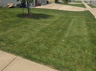 Yvette W.'s Lawn Maintenance service result
