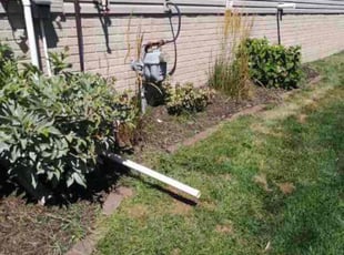 Bush Trimming by MICHAEL OFLAHERTY for Lemuel S. in Omaha, NE