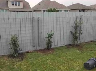 Landscaping by Annette Amador for Hector G. in Leander, TX