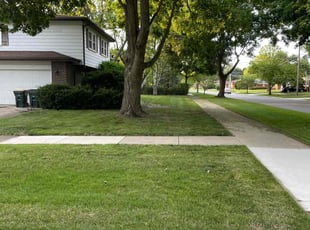 Tim K.'s Lawn Mowing service result
