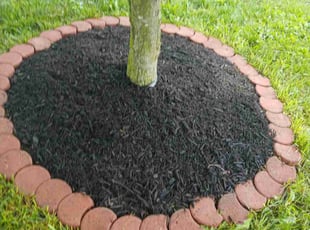 Mulching by Terrie Yeadon for Samuel D. in Indianapolis, IN