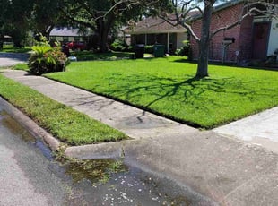 danielle s.'s Lawn Maintenance service result