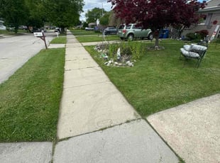 Yvette T.'s Yard Cutting service result