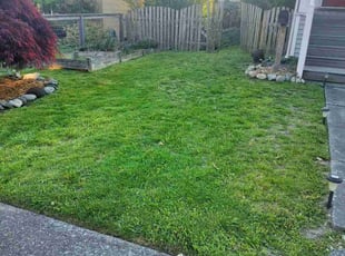 Melissa Z.'s Yard Cutting service result