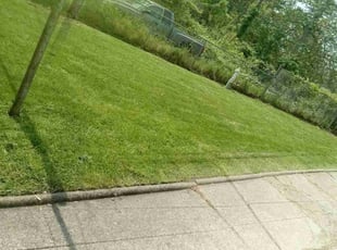 Cleanups by Rayshawn Martin for Janice H. in Cleveland, OH