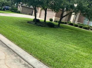Ryan C.'s Grass Cutting service result