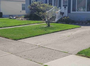 Linda W.'s Lawn Maintenance service result