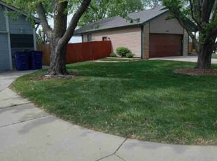 Thidarat R.'s Lawn Service service result