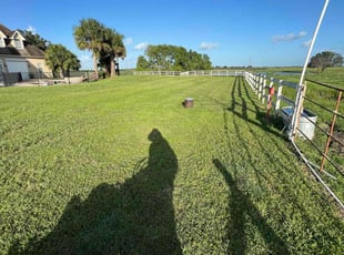 Lauranne B.'s Lawn Care service result