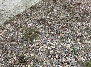 Weeding by Ant B for Terence J. in Colorado Springs, CO