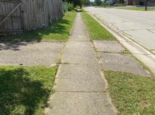 Lance M.'s Lawn Mowing Service service result